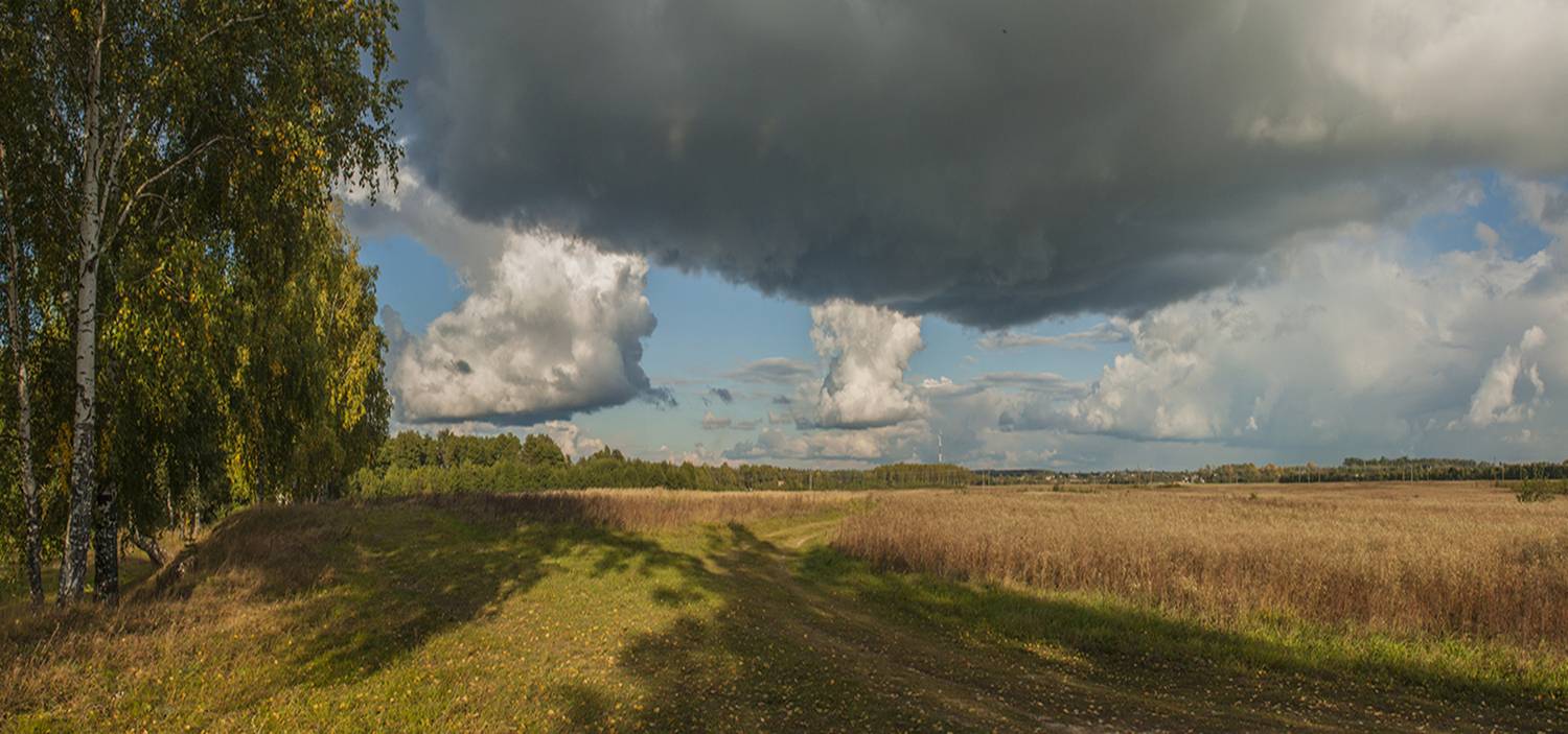 Photo #13750567