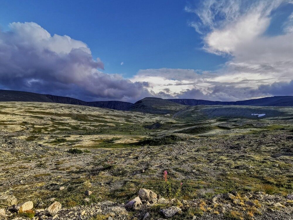 Photograph by Александр Порохов