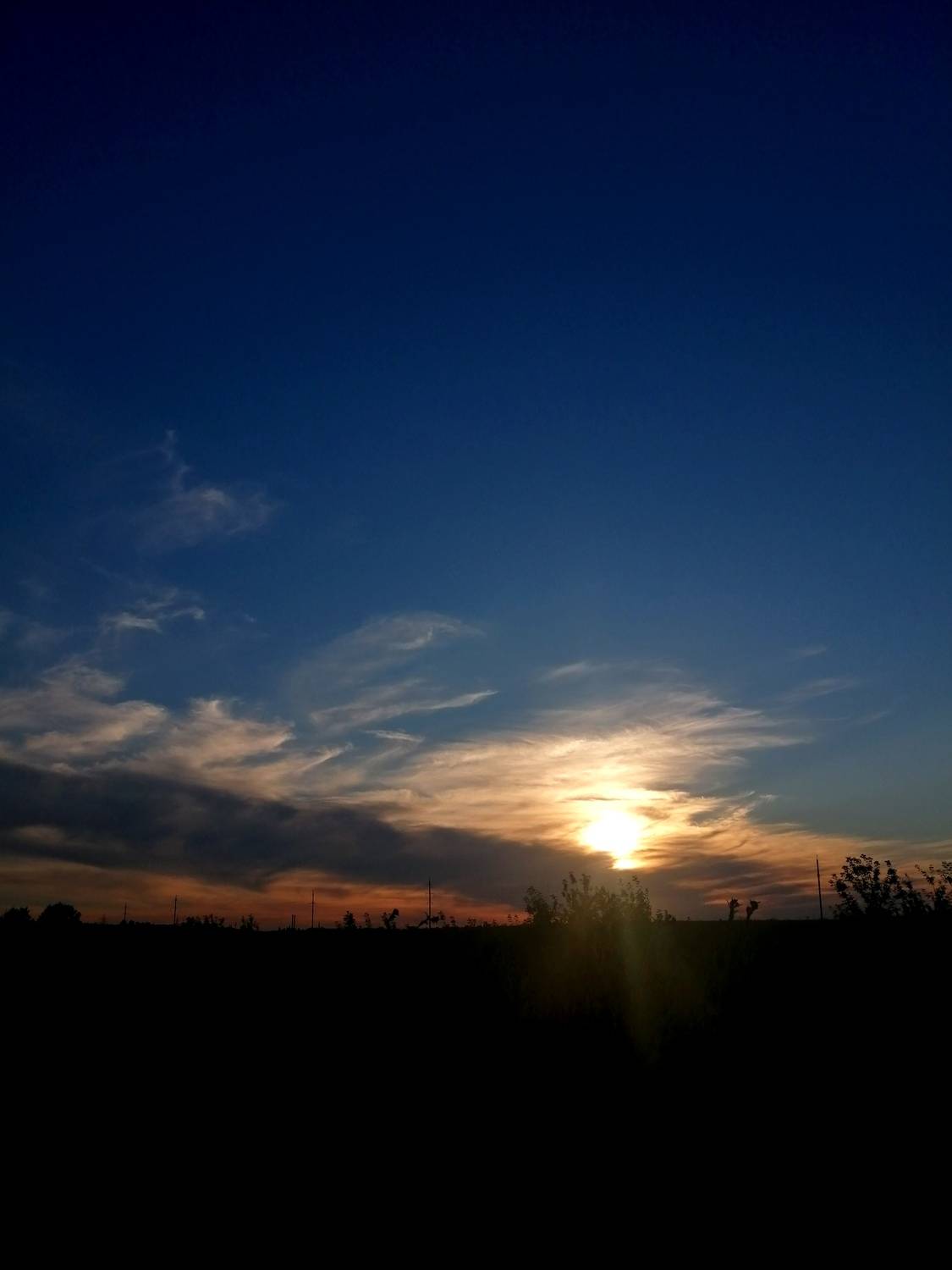 Photo #13750587