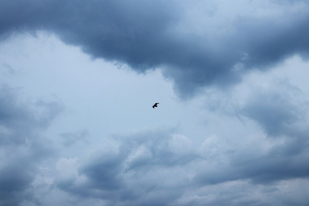 Photograph by Шпирко Михаил