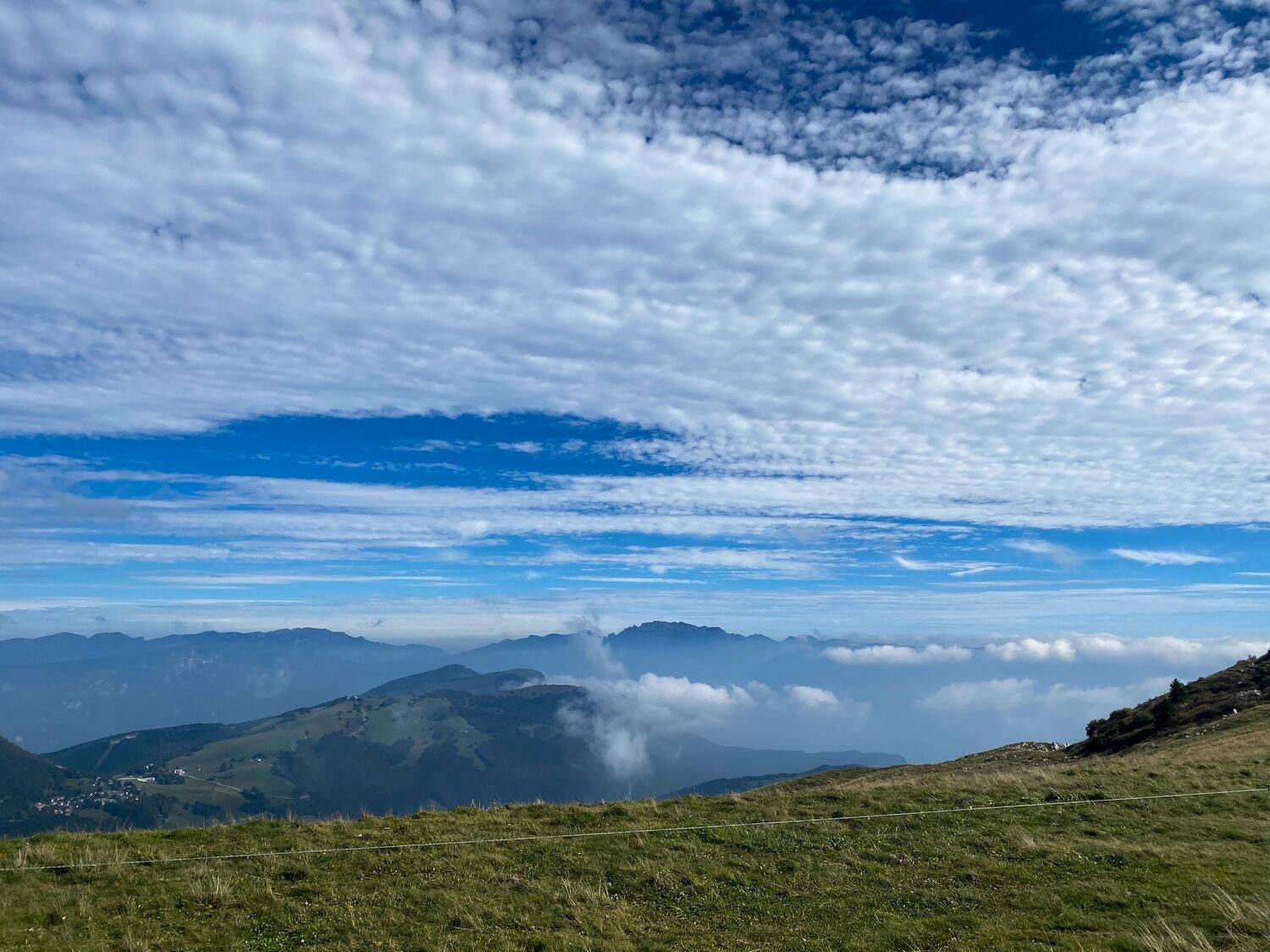 Photo #13750633