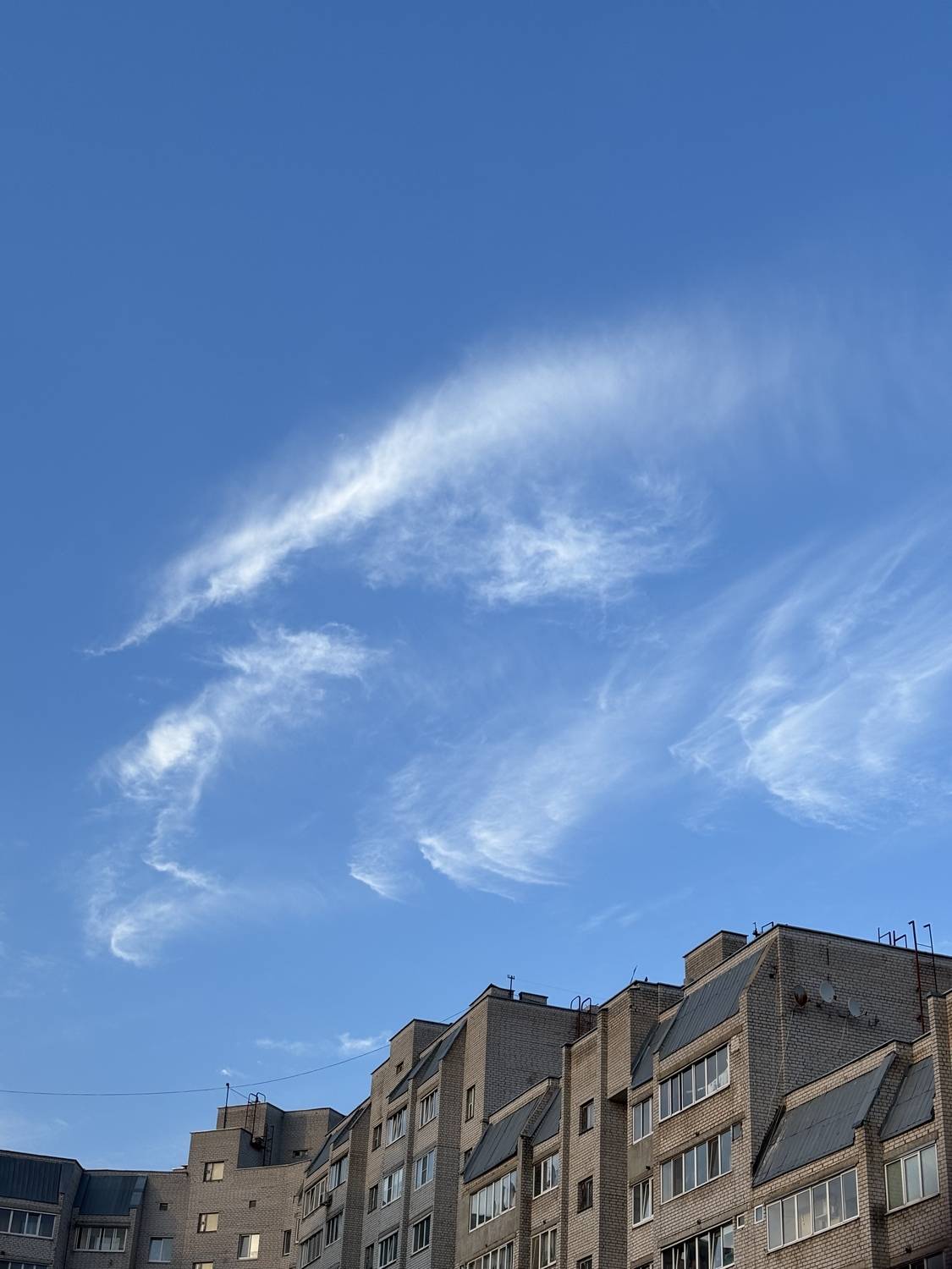 Photo #13750635