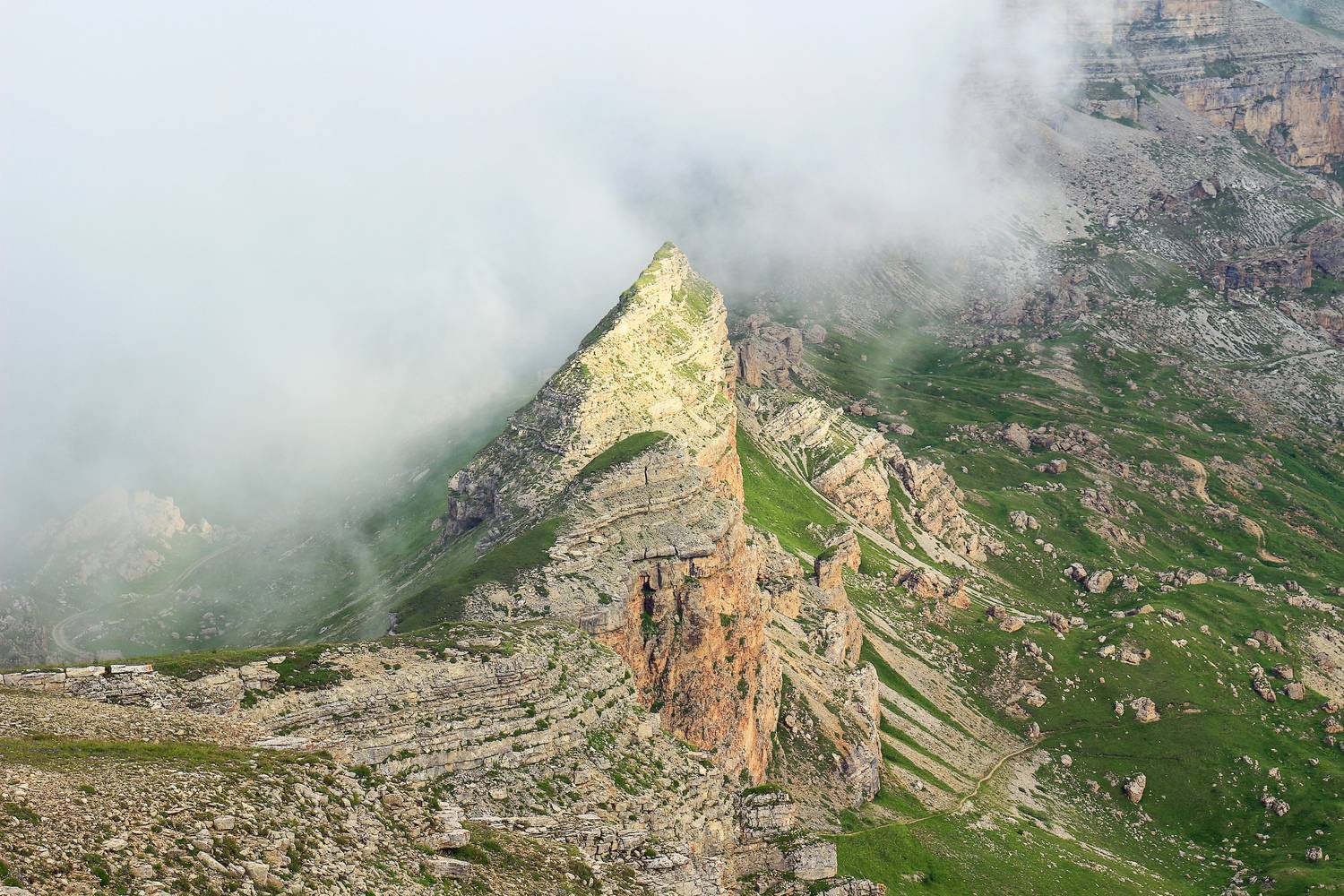 Photo #13750637