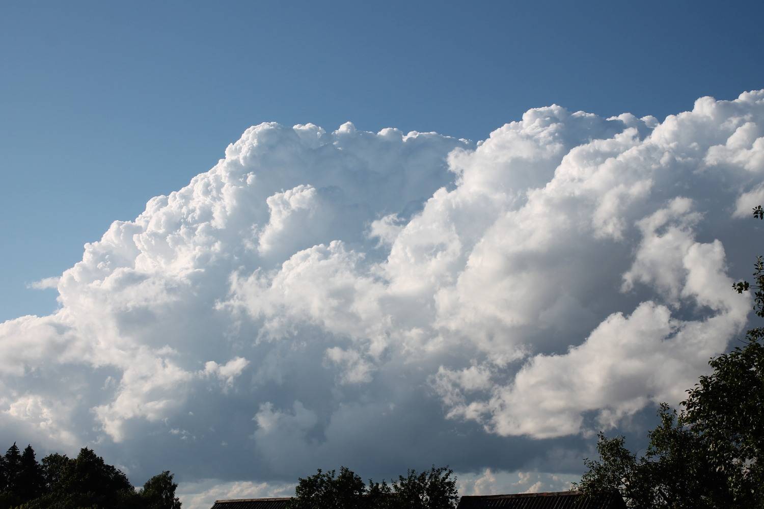 Photo #13750685