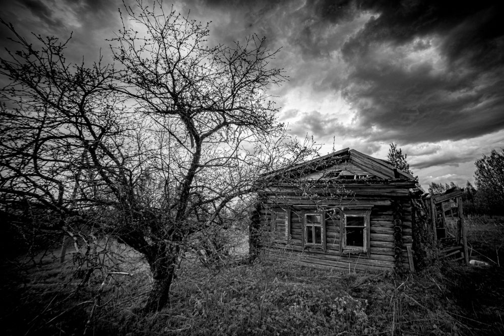 Photograph by Маслов Макс