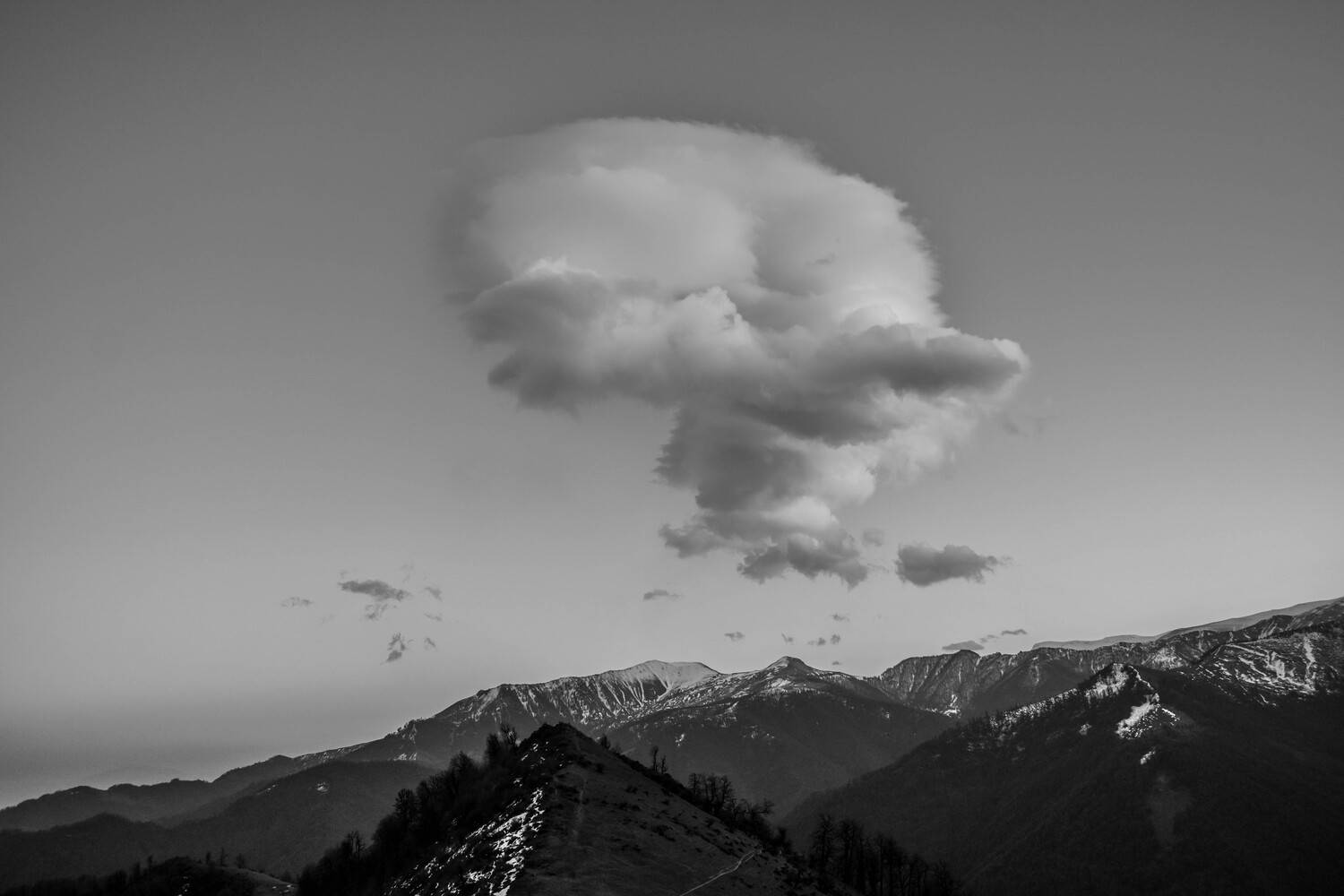 Photo #13750739