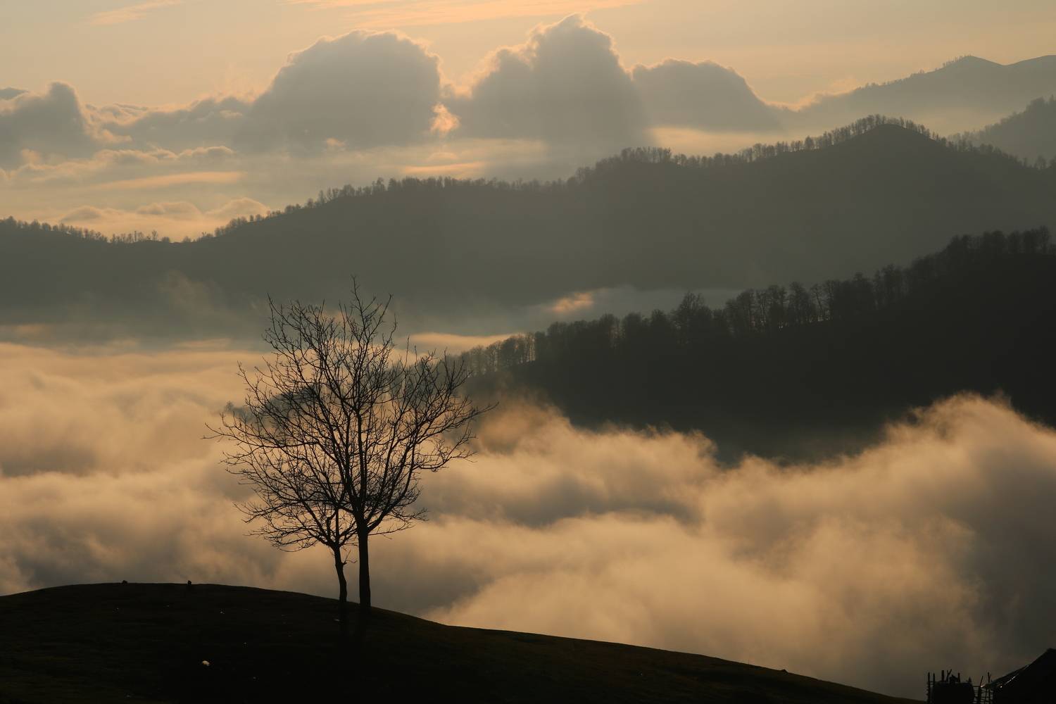 Photo #13750743