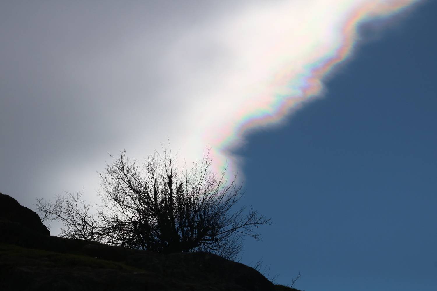 Photo #13750744