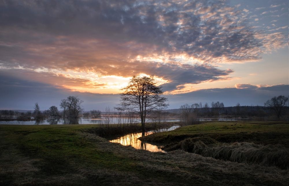 Photograph by Баранов Олег