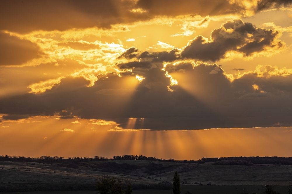 Photograph by Ирина Бабич
