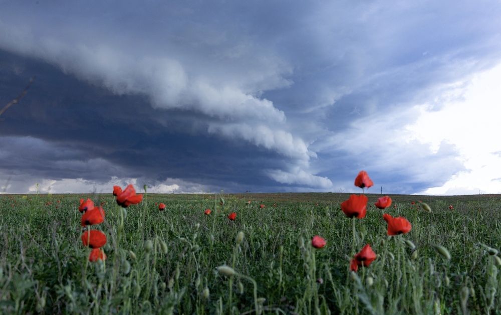 Photograph by Ирина Бабич