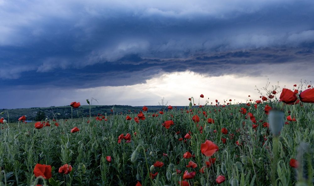 Photograph by Ирина Бабич