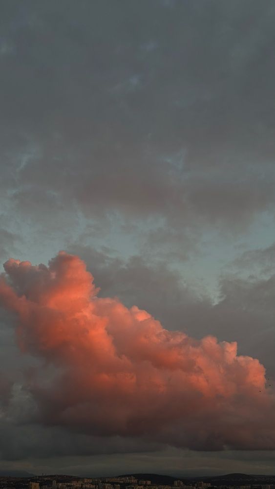 Photograph by Tia Larina