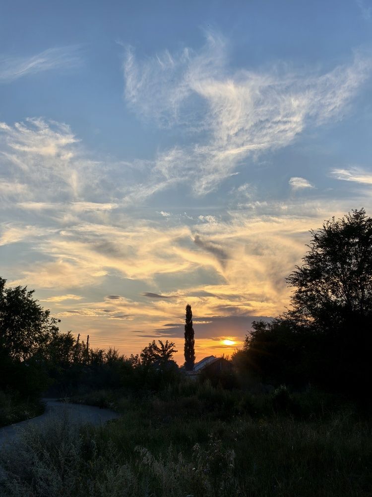 Photograph by Анна Якубинас