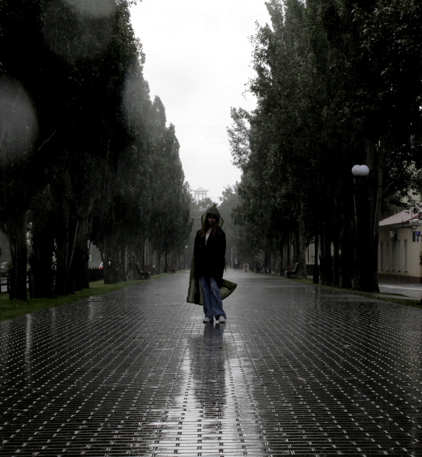 Photo #13750852