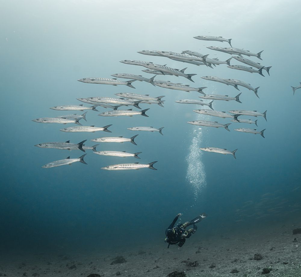 Photograph by Савин Андрей