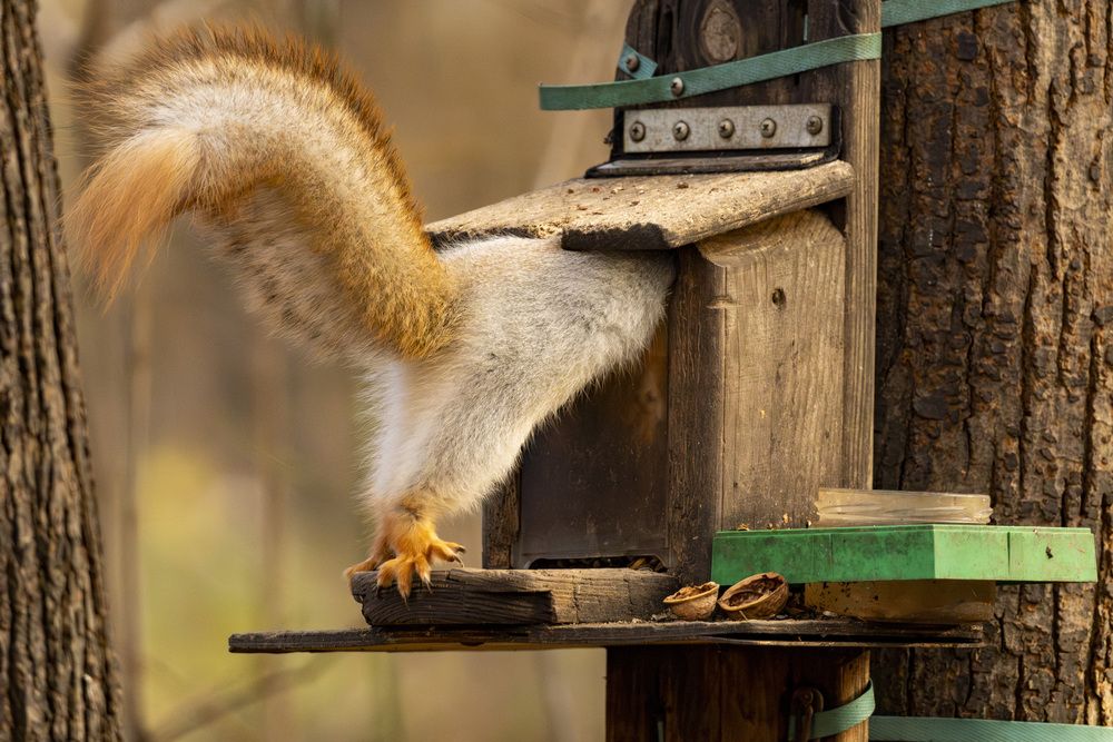 Photograph by Вениамин Подолян