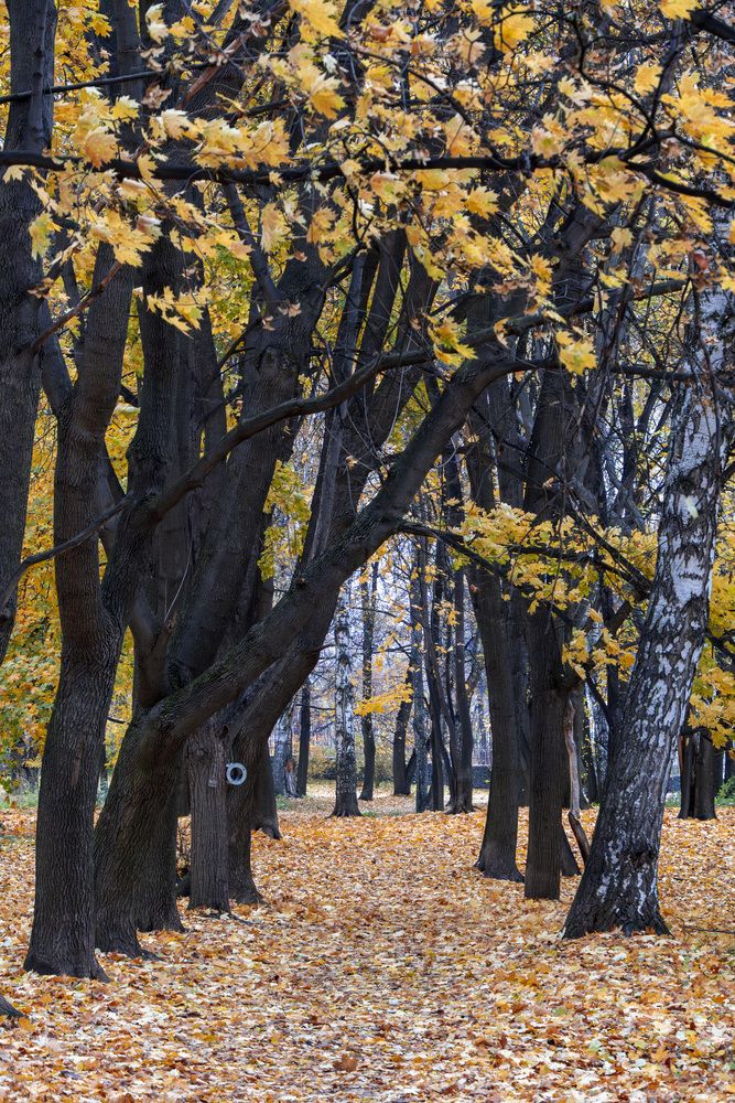 Photograph by Вениамин Подолян