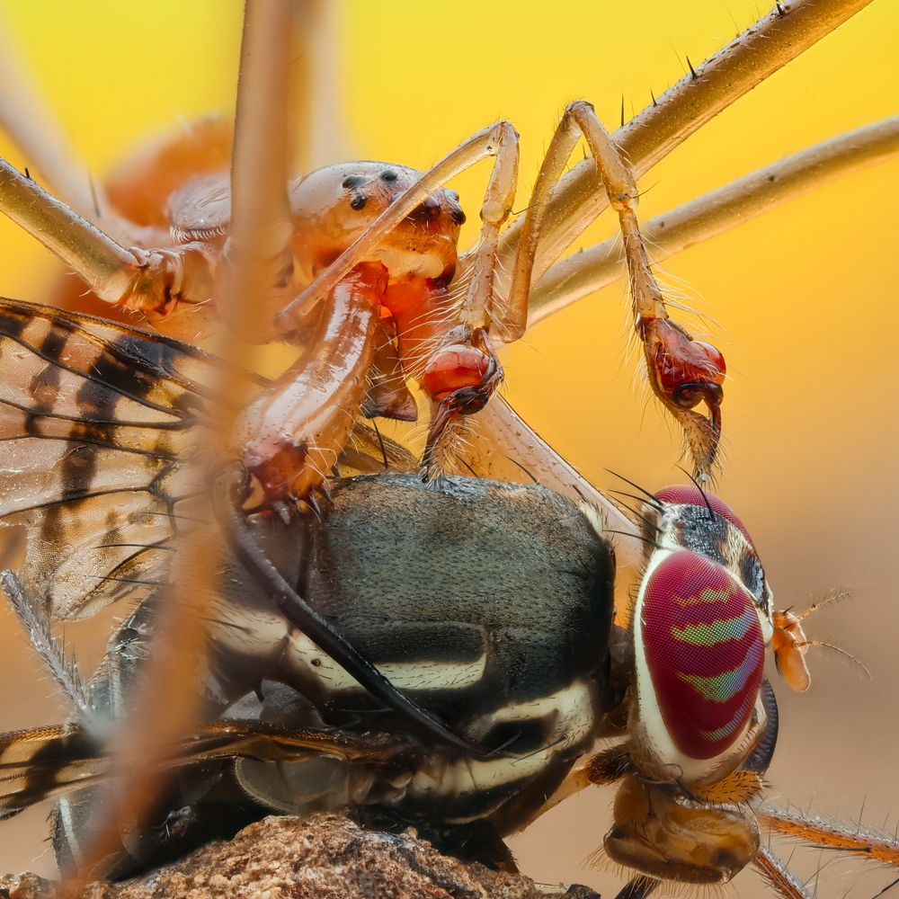 Photograph by Ly Phu Tai
