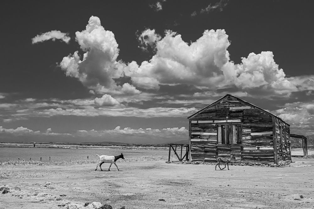 Photograph by Eddy Vittini