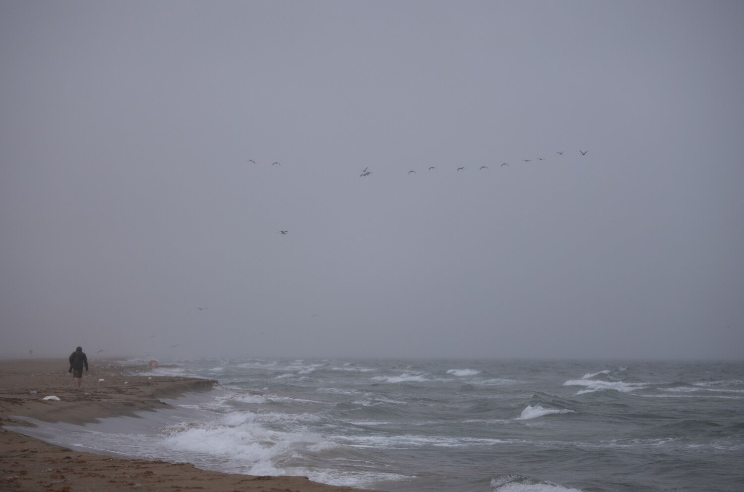Photo #13751019