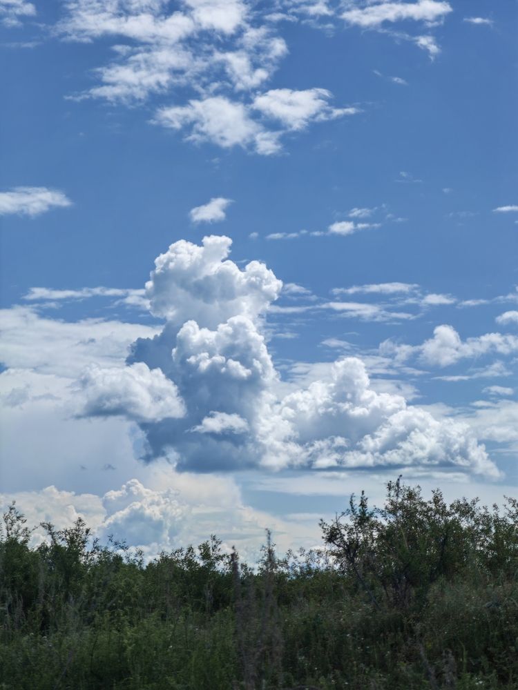 Photograph by Чкареули Светлана