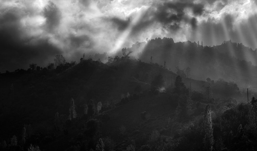 Photograph by hasan sorena jouri