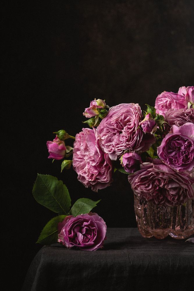 Photograph by Diana Sklarova