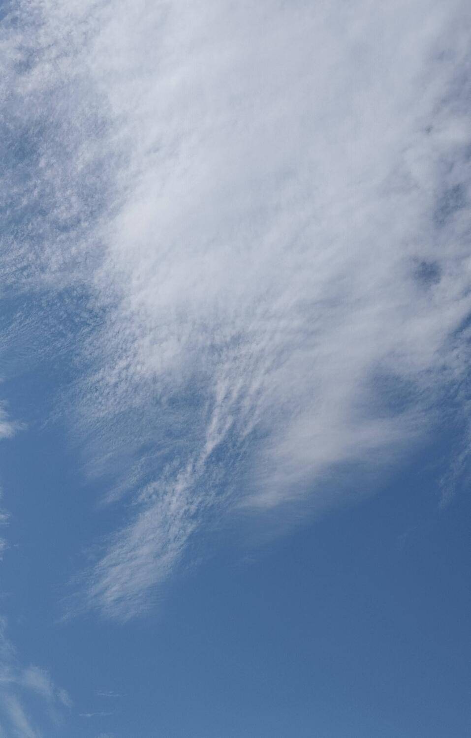 Photo #13751316