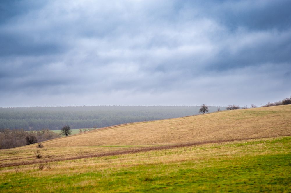 Photograph by Роман Кожух