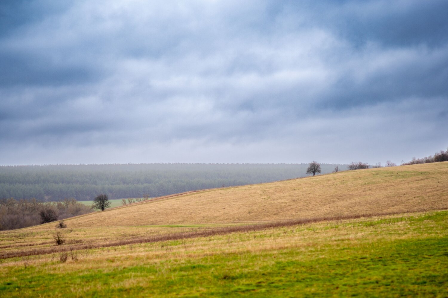 Photo #13751353