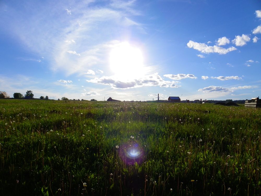 Photograph by Шистеров Сергей