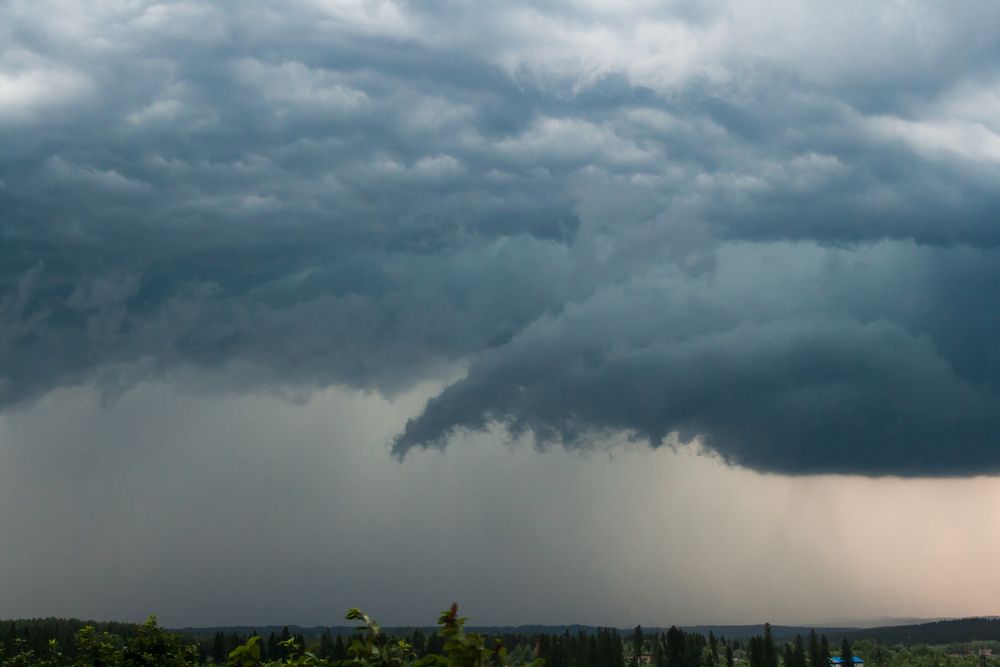 Photograph by Шистеров Сергей