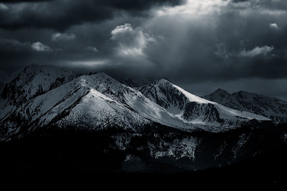 Photograph by Alex Reedson