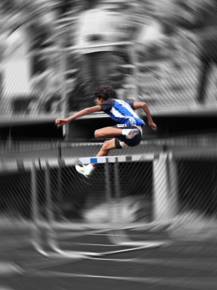Hurdle