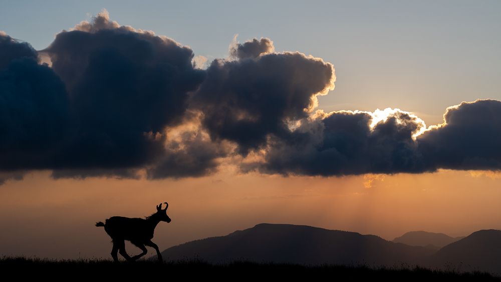 Photograph by Ervin Horesnyik
