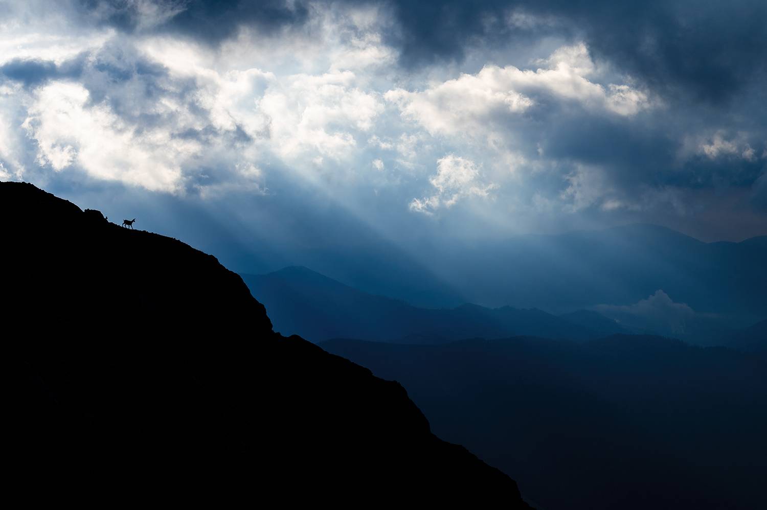 Photo #13751511