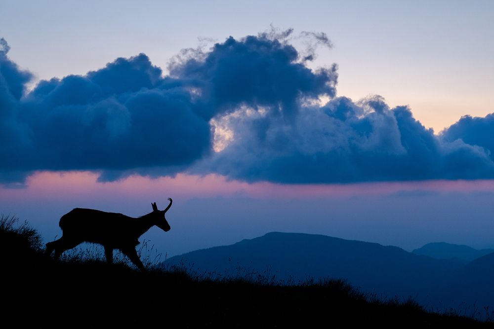 Photograph by Ervin Horesnyik