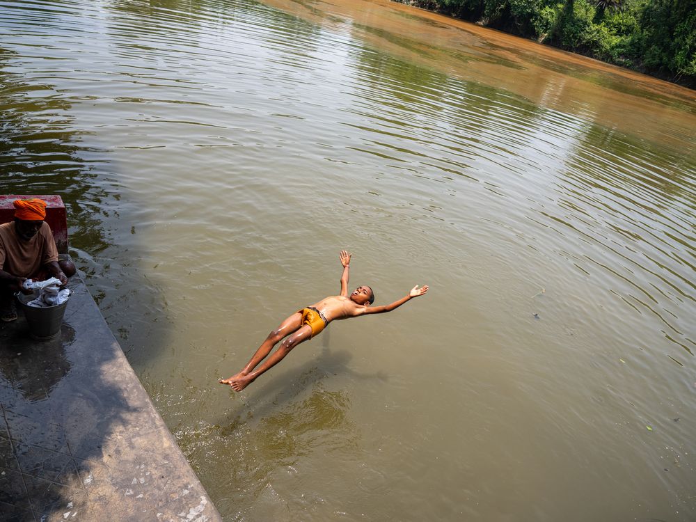 The Freedom Dive