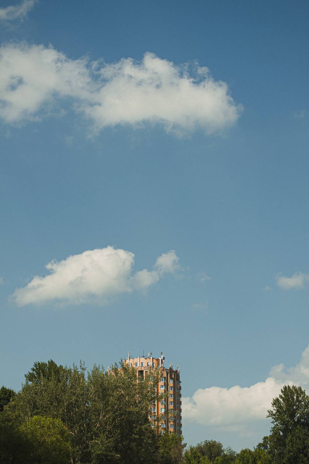 Photo #13751570