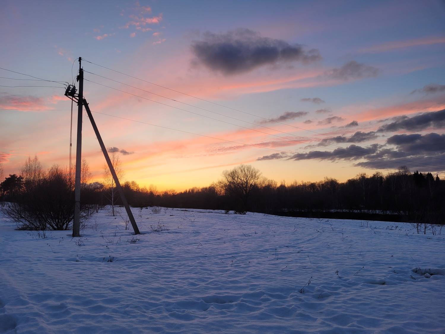 Photo #13751575