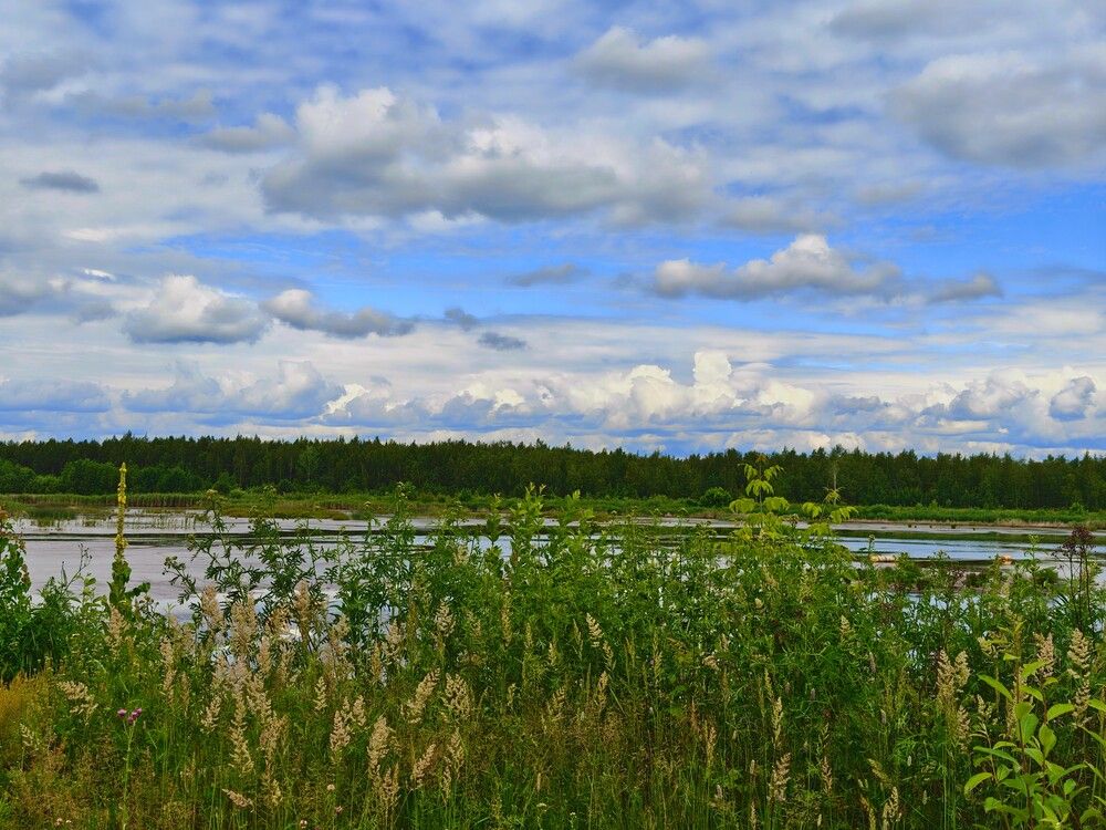 Photograph by Анастасия Куликова