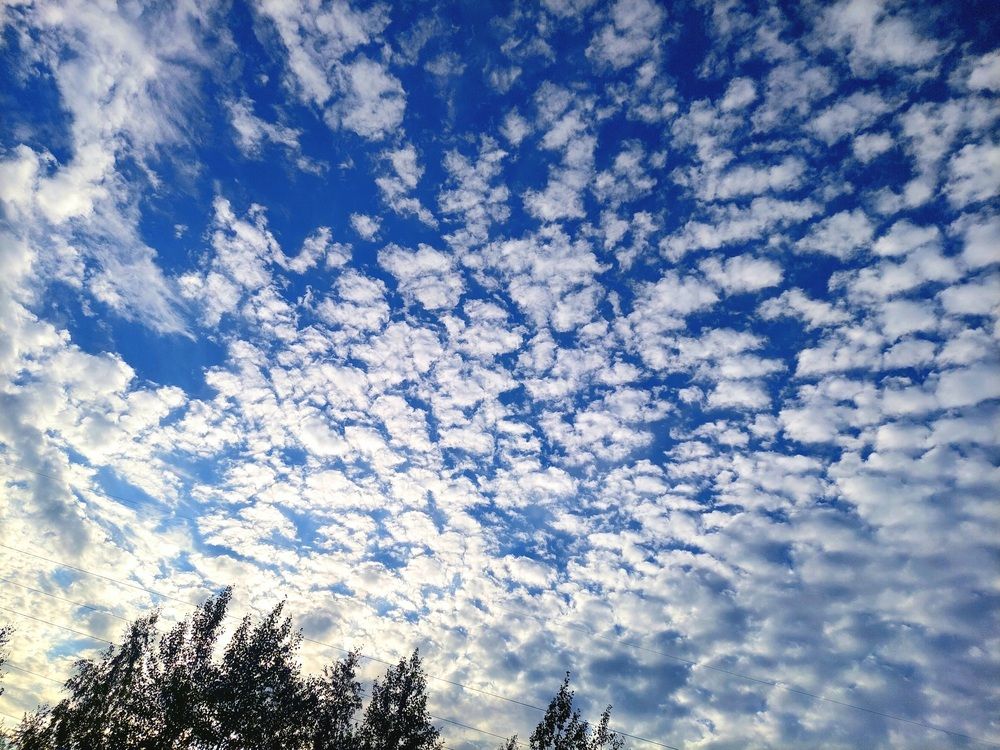 Photograph by Анастасия Куликова