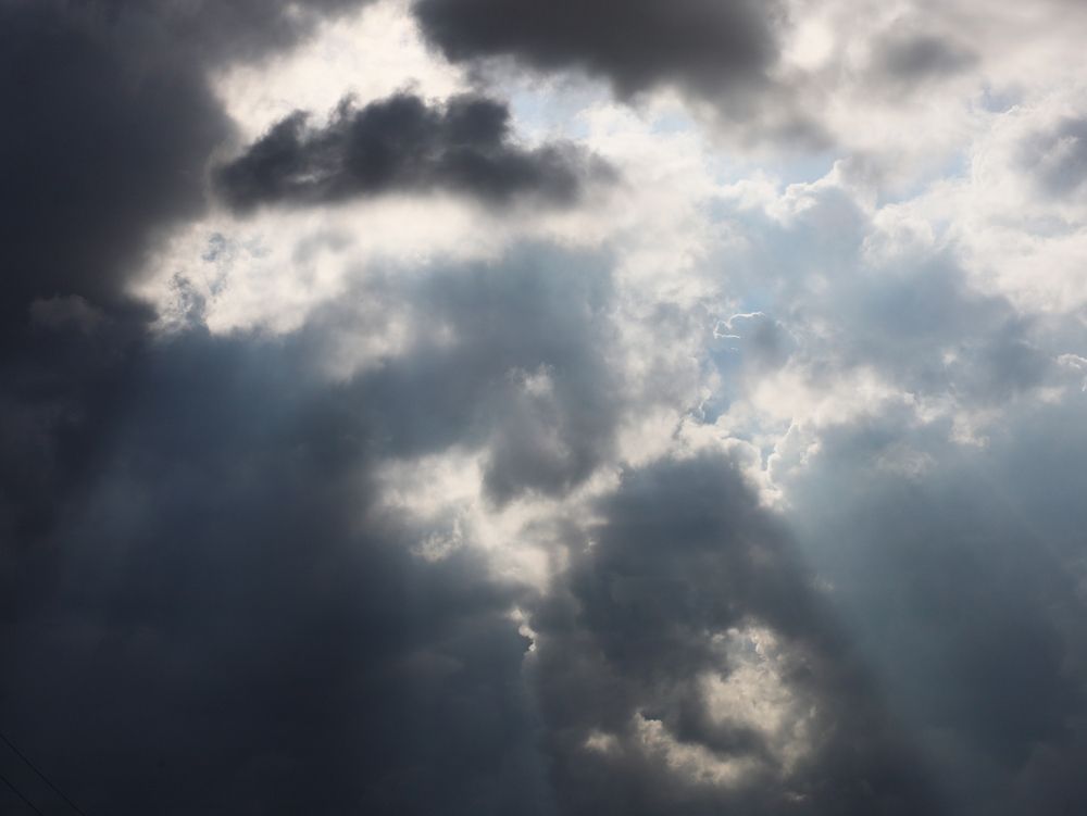 Photo #13751648