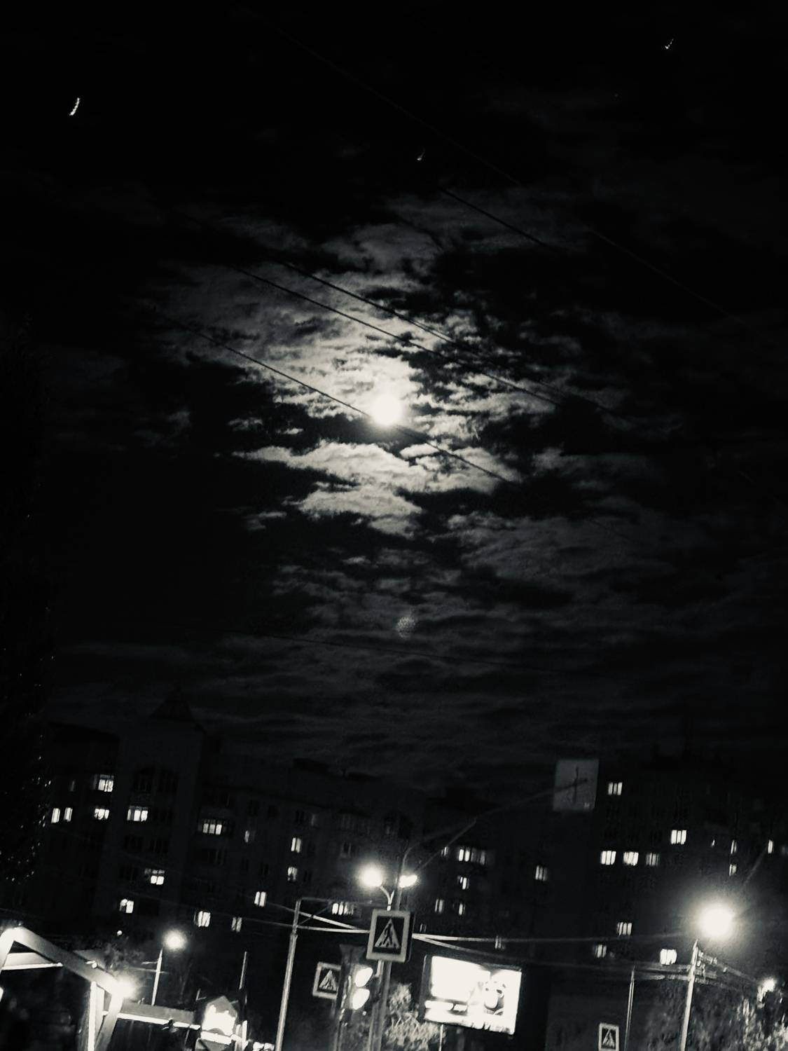Photo #13751658
