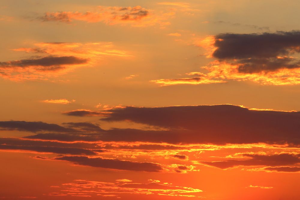 Photograph by Оксана Малахова