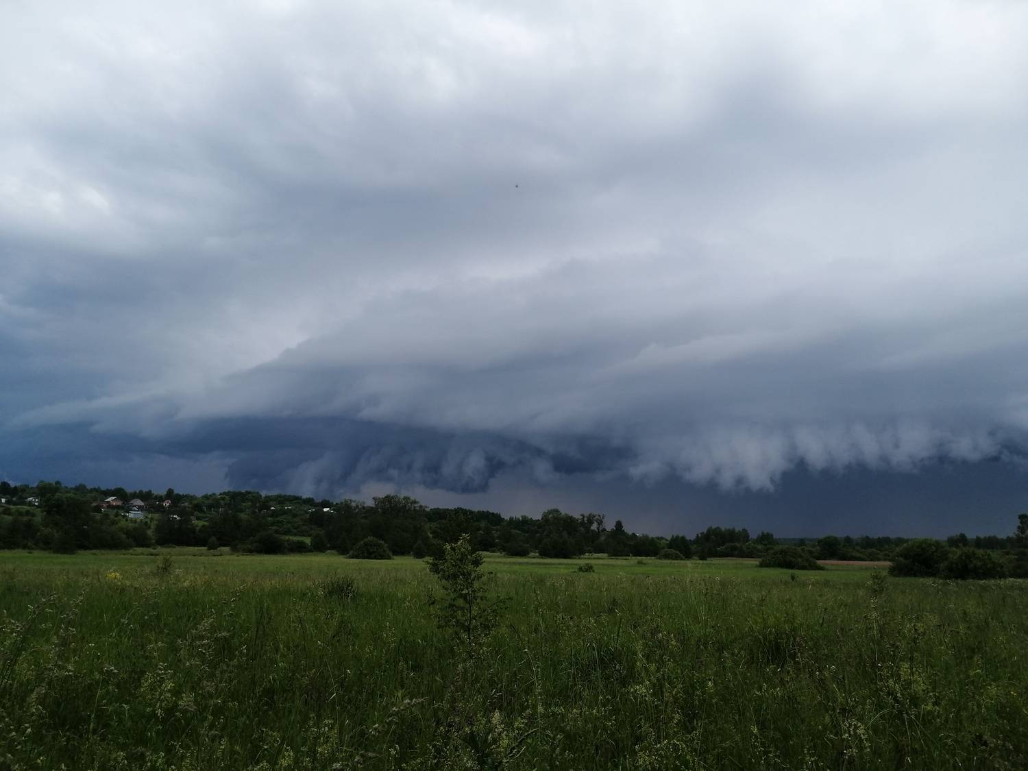 Photo #13751792