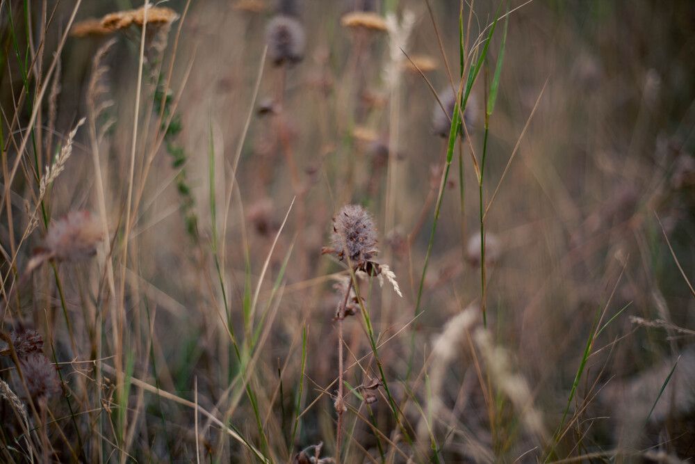 Photograph by Оксана Старостина