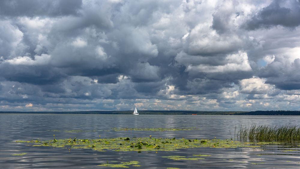 Photograph by Литвинов Александр