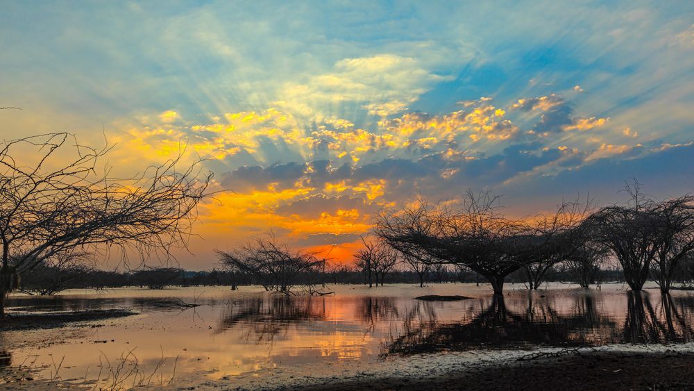 Photograph by Vineeth VV